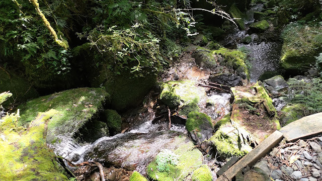 拉拉山國家森林遊樂區 - 卡拉溪