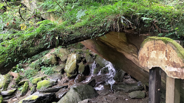 拉拉山國家森林遊樂區 - 橫波臥龍