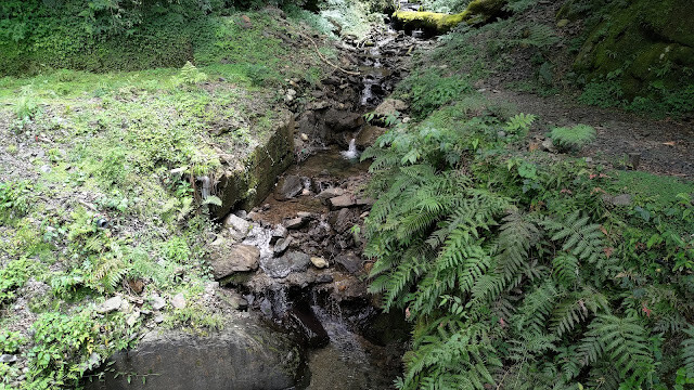 拉拉山國家森林遊樂區 - 卡拉溪