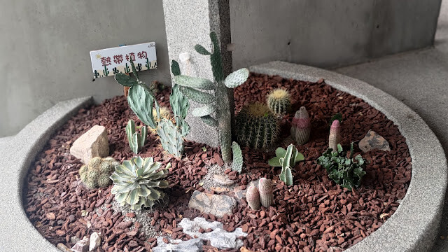 戶羽機關車園區 - 植栽造景 (多肉植物)