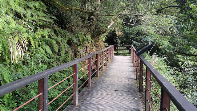 拉拉山國家森林遊樂區 - 越野山林之旅