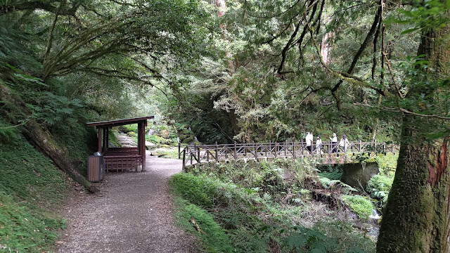 拉拉山國家森林遊樂區 - 越野山林之旅