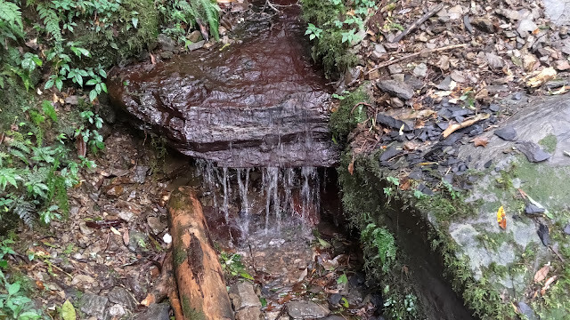 拉拉山國家森林遊樂區 - 越野山林之旅