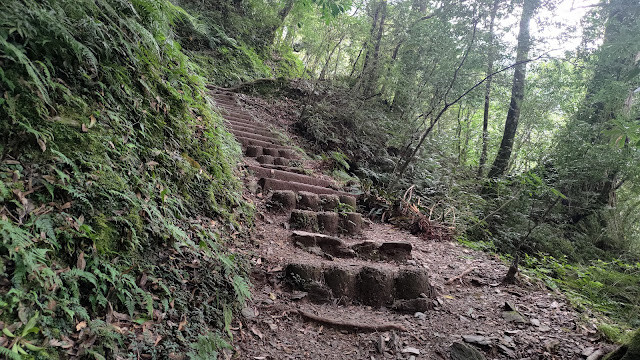 拉拉山國家森林遊樂區 - 越野山林之旅