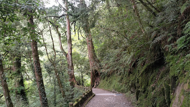 拉拉山國家森林遊樂區 - 漫步有氧之旅