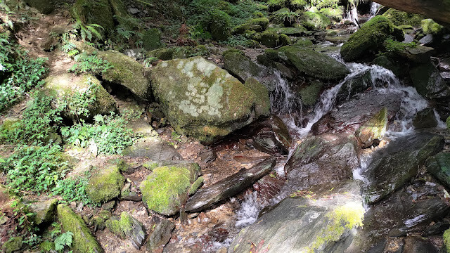 拉拉山國家森林遊樂區 - 卡拉溪