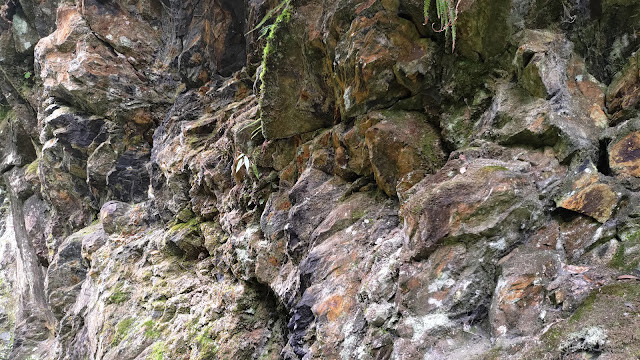 拉拉山國家森林遊樂區 - 岩石風化