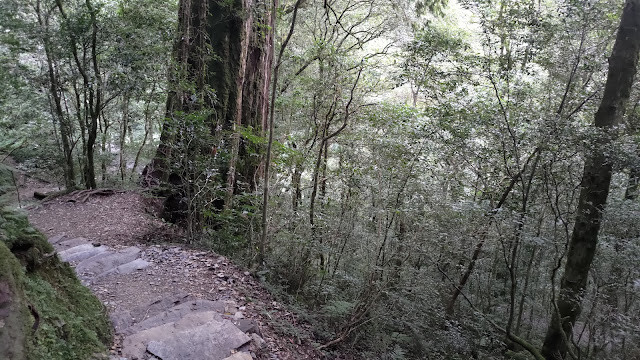 拉拉山國家森林遊樂區 - 越野山林之旅