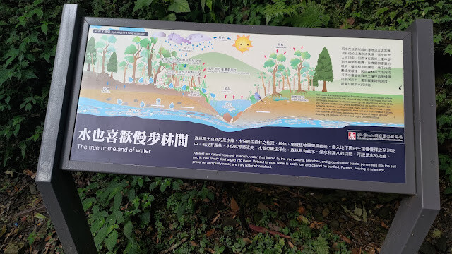 拉拉山國家森林遊樂區 - 水也喜歡漫步林間