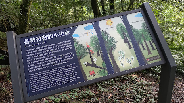 拉拉山國家森林遊樂區 - 越野山林之旅
