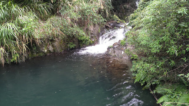 老鷹溪步道 - 觀魚亭