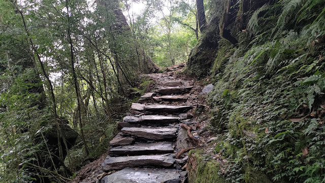拉拉山國家森林遊樂區 - 越野山林之旅