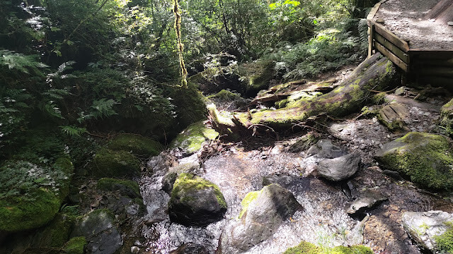 拉拉山國家森林遊樂區 - 卡拉溪