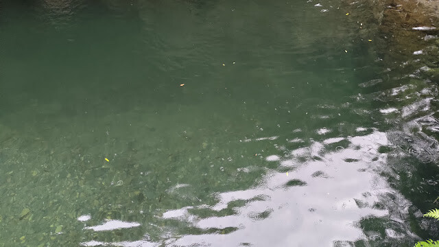 老鷹溪步道 - 觀魚亭