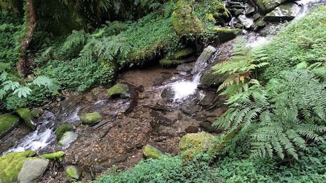 拉拉山國家森林遊樂區 - 卡拉溪