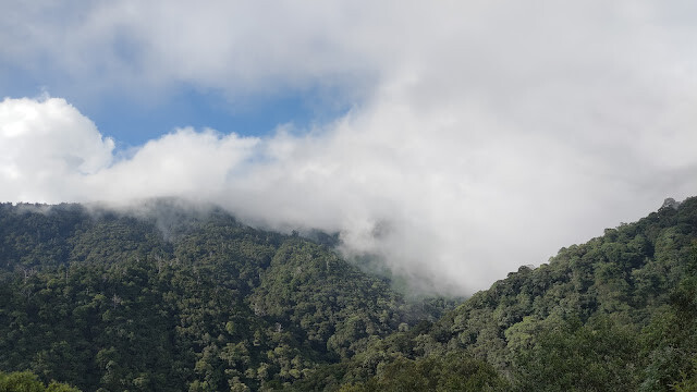 拉拉山國家森林遊樂區 - 漫步有氧之旅