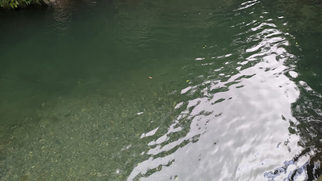 老鷹溪步道 - 觀魚亭