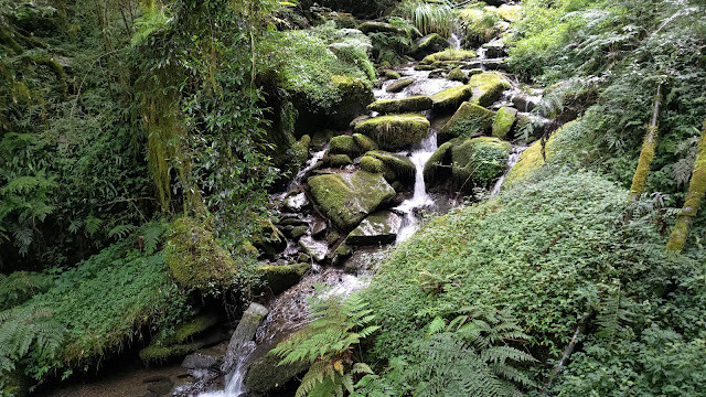 拉拉山國家森林遊樂區 - 卡拉溪
