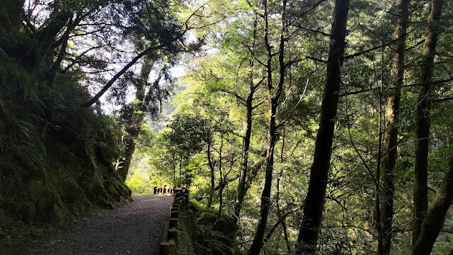 拉拉山國家森林遊樂區 - 漫步有氧之旅