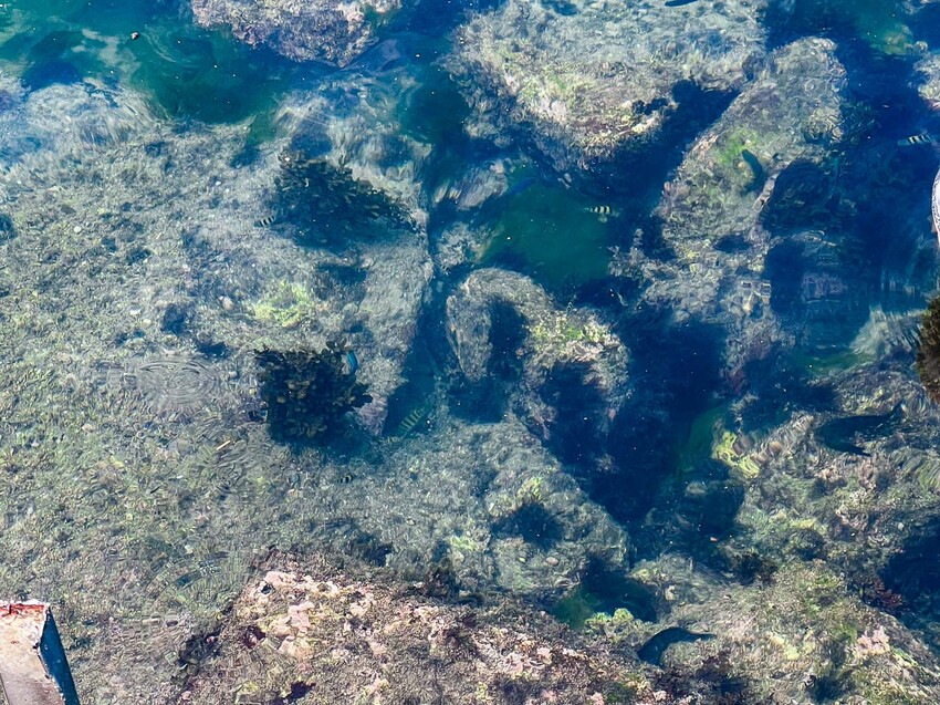 基隆市安樂區外木山海興游泳池|湛藍海水清澈見底!不用錢免費玩天然海水游泳池