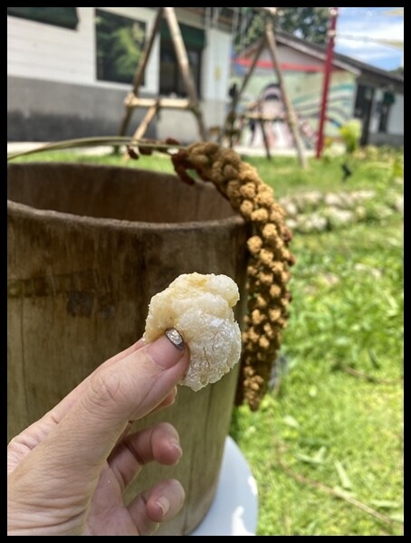 【台中霧峰景點推薦】光復新村【原流新創聚落】原流新創聚落一日 【台中霧峰景點推薦】光復新村【原流新創聚落】原流新創聚落一日