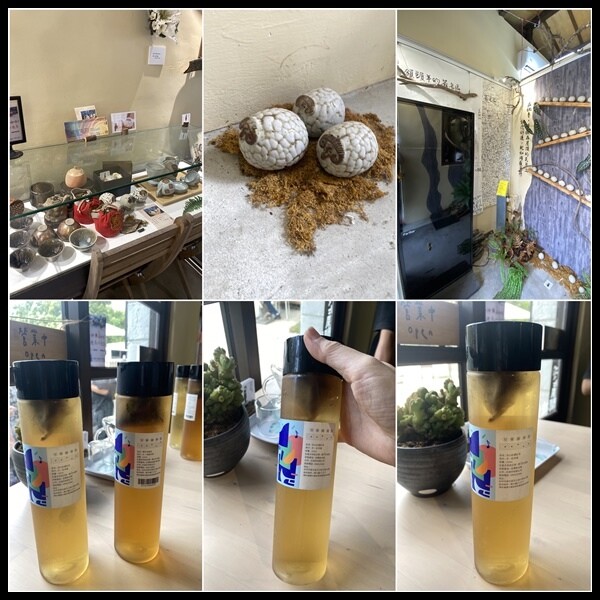 【台中霧峰景點推薦】光復新村【原流新創聚落】原流新創聚落一日 【台中霧峰景點推薦】光復新村【原流新創聚落】原流新創聚落一日