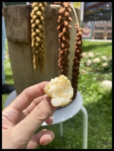 【台中霧峰景點推薦】光復新村【原流新創聚落】原流新創聚落一日 【台中霧峰景點推薦】光復新村【原流新創聚落】原流新創聚落一日