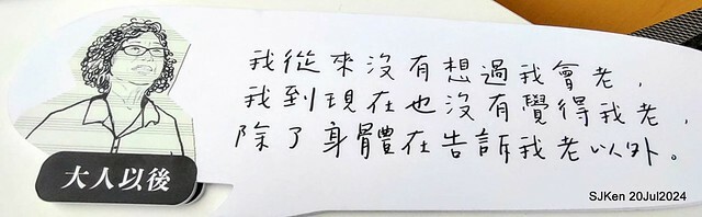 The Movie posters and stills of Taiwan record movie 