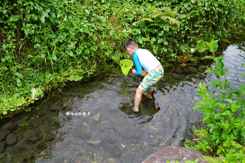 宜蘭玩水景點,羌仔埤,純天然湧泉,員山親子玩水、抓小魚小蝦秘