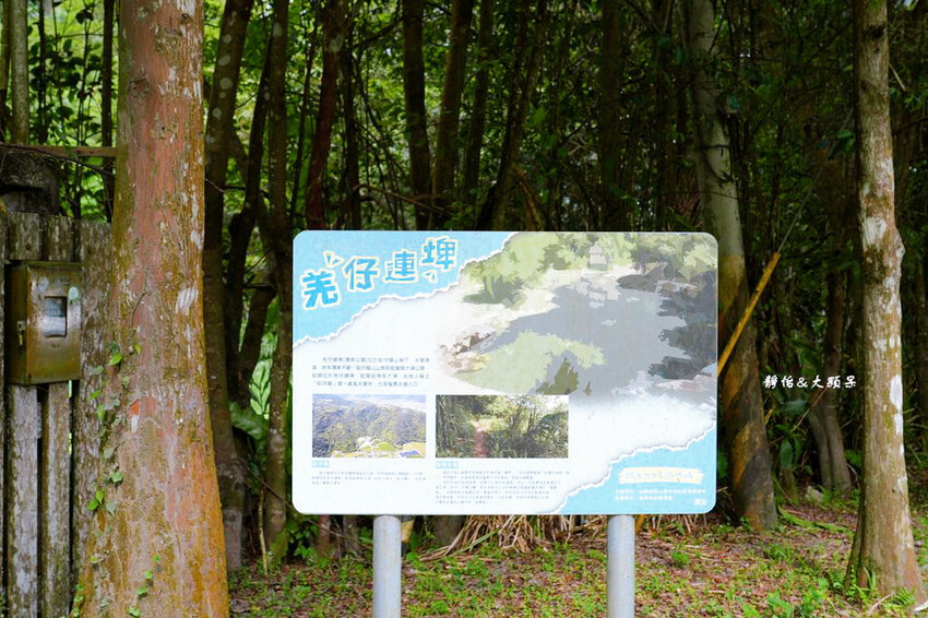 宜蘭玩水景點,羌仔埤,純天然湧泉,員山親子玩水、抓小魚小蝦秘