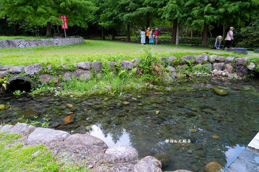 宜蘭玩水景點,羌仔埤,純天然湧泉,員山親子玩水、抓小魚小蝦秘