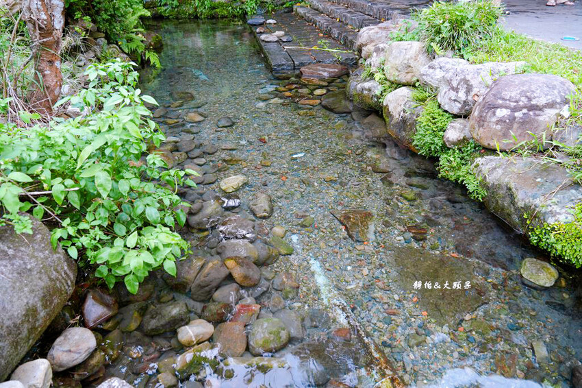 宜蘭玩水景點,羌仔埤,純天然湧泉,員山親子玩水、抓小魚小蝦秘