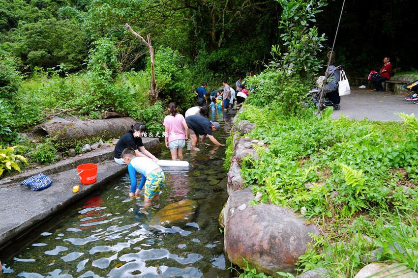 宜蘭玩水景點,羌仔埤,純天然湧泉,員山親子玩水、抓小魚小蝦秘