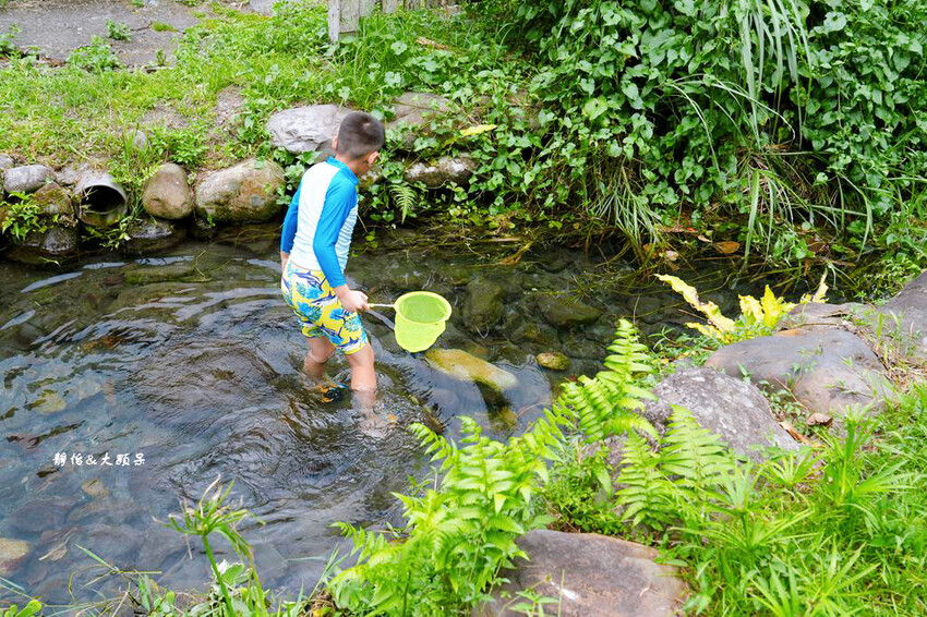 宜蘭玩水景點,羌仔埤,純天然湧泉,員山親子玩水、抓小魚小蝦秘