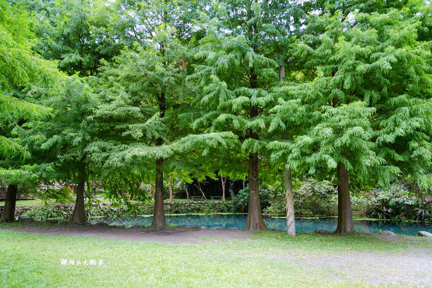 宜蘭玩水景點,羌仔埤,純天然湧泉,員山親子玩水、抓小魚小蝦秘