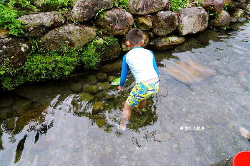 宜蘭玩水景點,羌仔埤,純天然湧泉,員山親子玩水、抓小魚小蝦秘