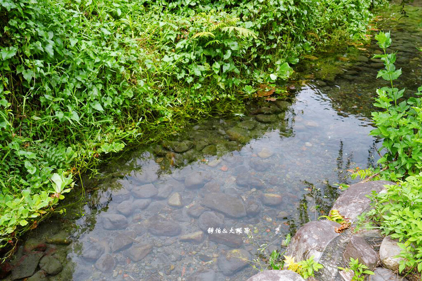 宜蘭玩水景點,羌仔埤,純天然湧泉,員山親子玩水、抓小魚小蝦秘