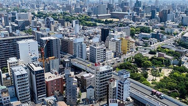 IMG_8655.jpg IMG_8655.jpg