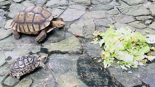 IMG_1740.jpg IMG_1740.jpg