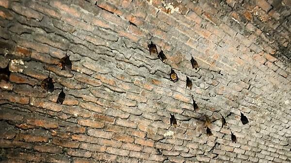 IMG_3233 (1).jpg IMG_3233 (1).jpg