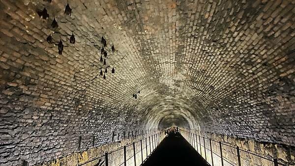 IMG_3241.jpg IMG_3241.jpg