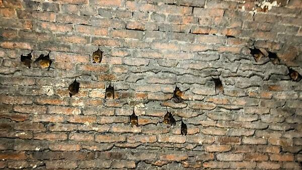 IMG_3235.jpg IMG_3235.jpg