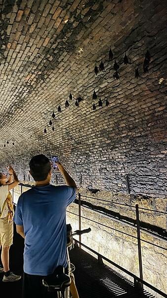 IMG_3225.jpg IMG_3225.jpg