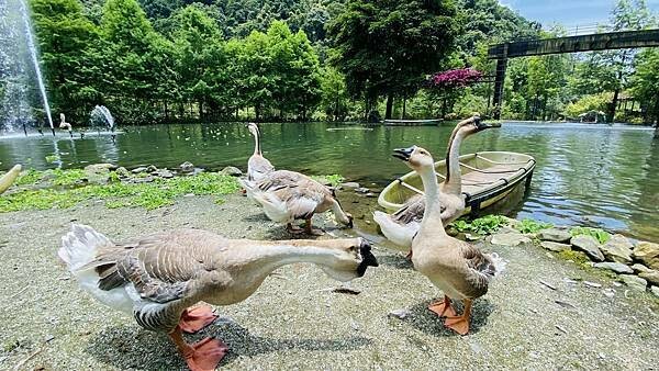 IMG_1706 (1).jpg IMG_1706 (1).jpg