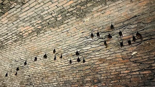 IMG_3227.jpg IMG_3227.jpg