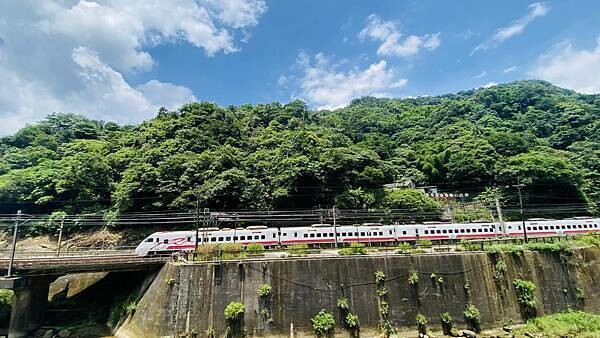 IMG_3327 (1).jpg IMG_3327 (1).jpg