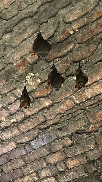 IMG_8156.JPG IMG_8156.JPG