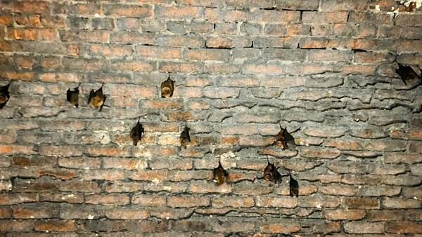 IMG_3232.jpg IMG_3232.jpg