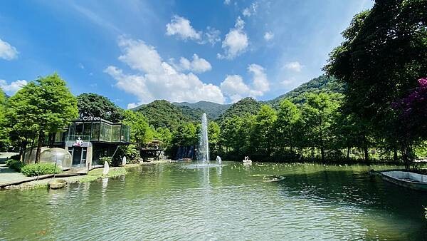 IMG_1545.jpg IMG_1545.jpg