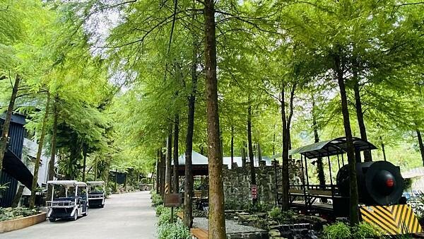 IMG_1739 (1).jpg IMG_1739 (1).jpg